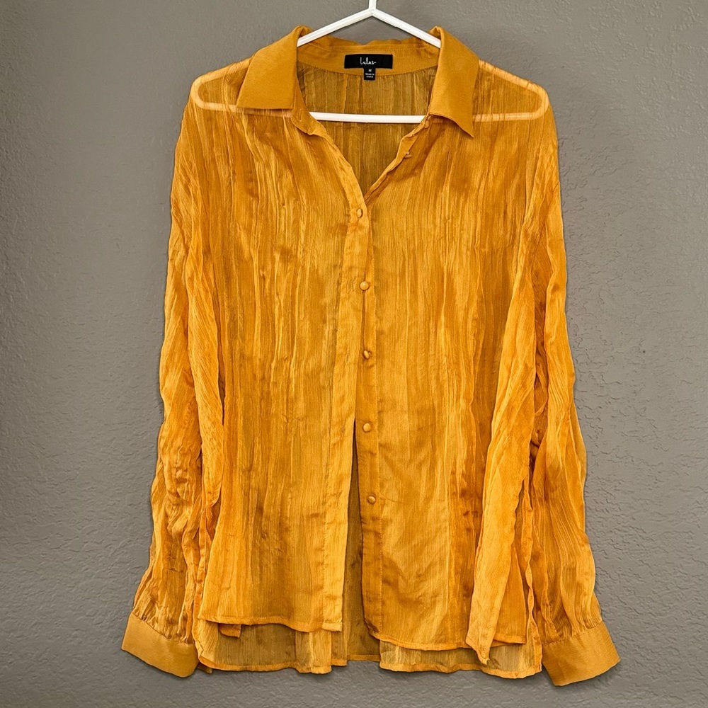 Sheer Long Sleeve Top